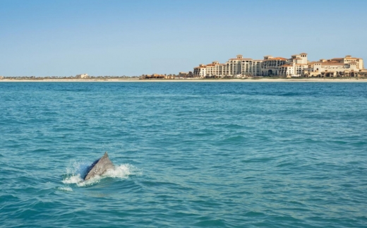 The St. Regis Saadiyat Island Resort