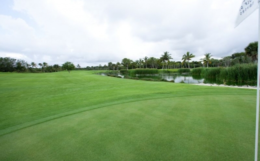 Barcelo Bavaro Palace