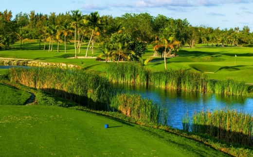 Barcelo Bavaro Palace