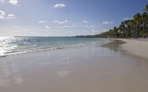 Barcelo Bavaro Palace