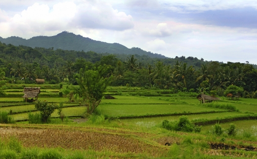 Puri Bagus Manggis