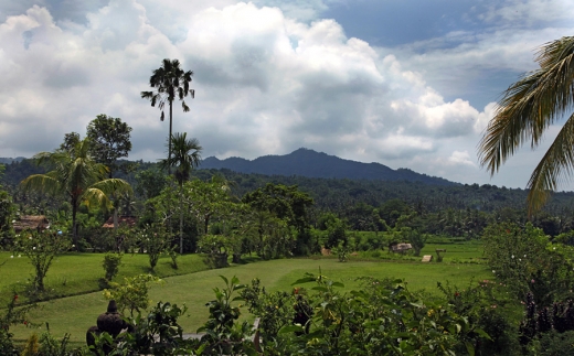 Puri Bagus Manggis