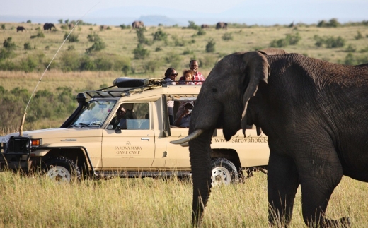 Sarova Mara Game Camp