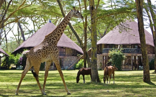 Lake Naivasha Sopa Resort