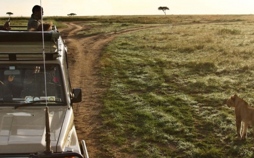 Sarova Mara Game Camp