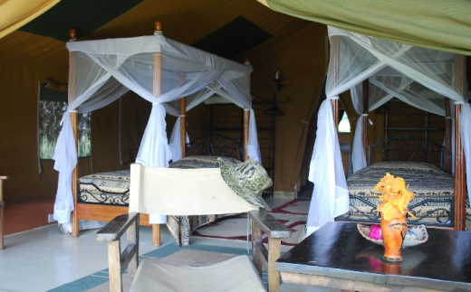 Flamingo Hill Tented Camp