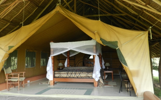 Flamingo Hill Tented Camp