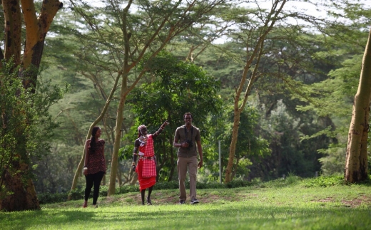 Sarova Lion Hill Lodge