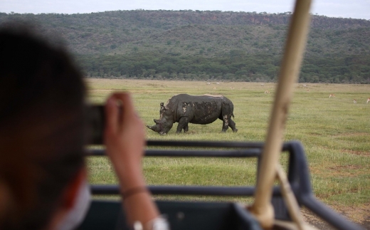 Sarova Lion Hill Lodge