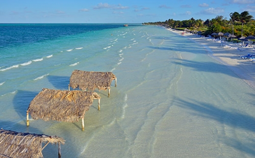 Melia Cayo Guillermo