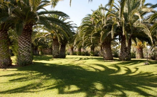 Nicolaus Village Ostuni Rosa Marina Resort