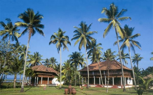 Coconut Lagoon