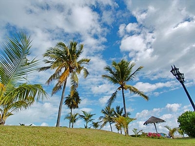 Celuisma Dos Playas