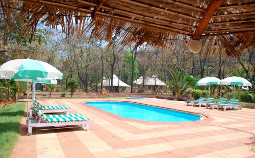 Dudhsagar Spa Resort