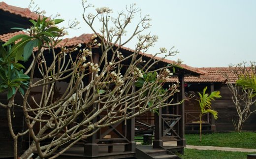 Ecowoods Village Resort & Spa