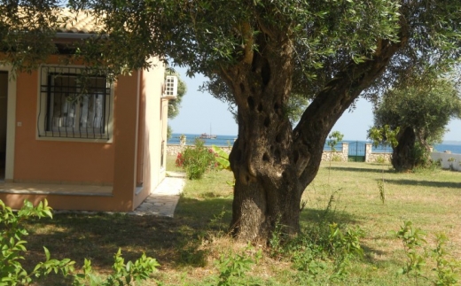 Barbati Beach Apartments