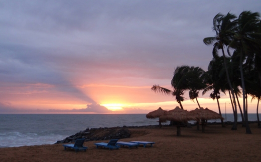 The Cozy Beach