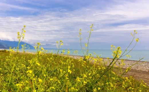 Лагуна Пансионат