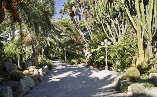 Terme Mediterraneo