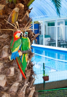 Зеленый Попугай Частная Гостиница