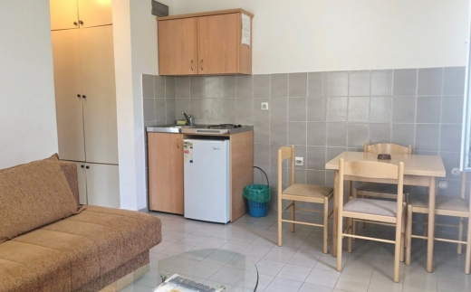Apartment Micic