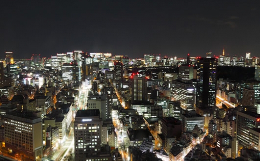 Tokyo Dome Hotel