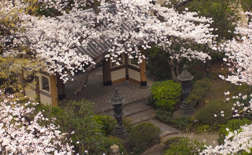 Grand Prince Hotel Takanawa