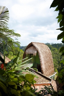 Jungle Retreat By Kupu Kupu