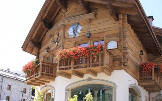 Chalet Picchio