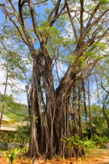 Story Seychelles (Ex. The H Resort Beau Vallon)