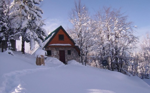 Durmitor Bungalows