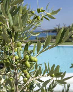 Lea Bianca Luxury Resort