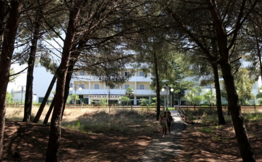 Le Palme