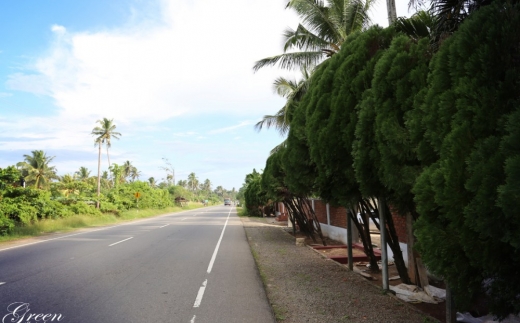 Green Villa Induruwa