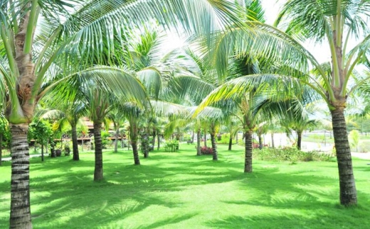 Chez Carole Beach Resort & Spa