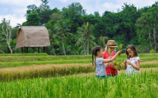 Mandapa Ritz Carlton Reserve