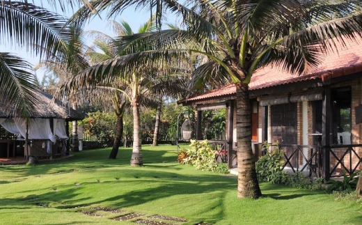 Green Organic Villas