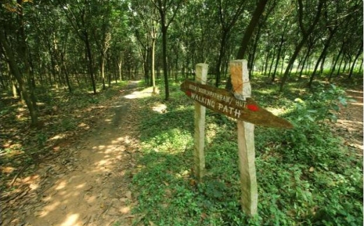 Rajah Healthy Acres