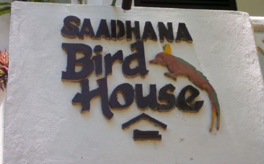 Bird House Guesthouse