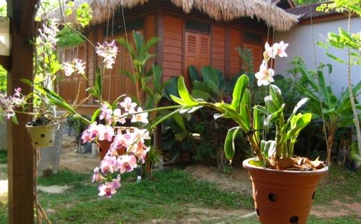 Villa Molek Langkawi