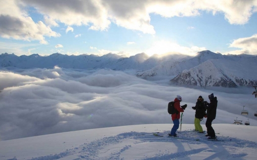 Alpenkoenigin