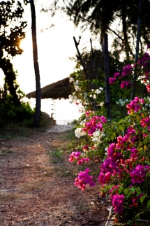 Beleza By The Beach