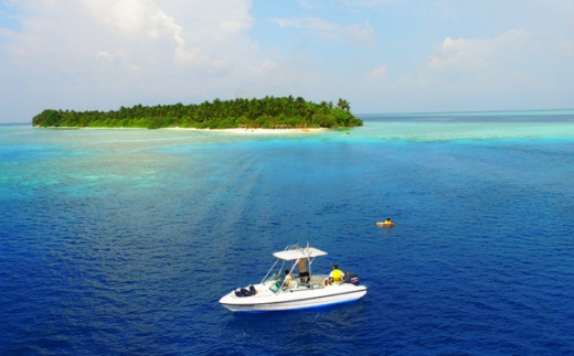 Plumeria Maldives