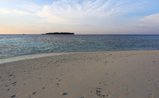 Plumeria Maldives