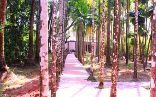 Arambol Paradise Village Resort