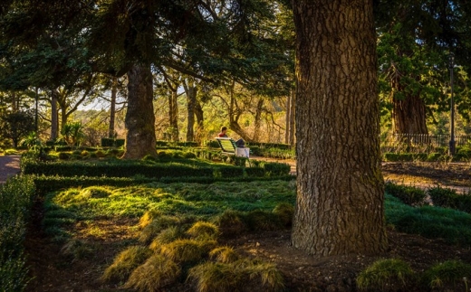 Green Park (Грин Парк Ялта-Интурист)