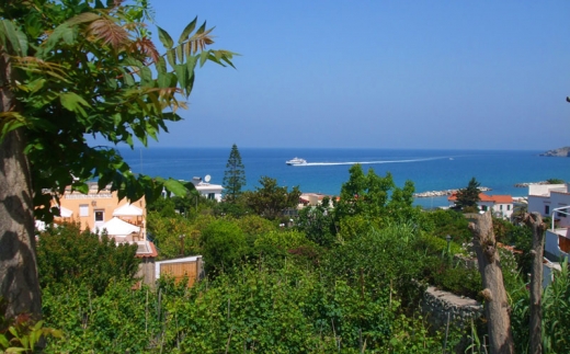 Albergo Villa Hibiscus