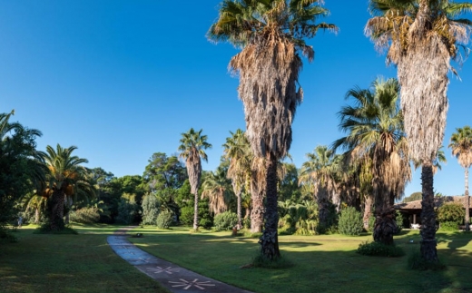 Costa Dei Fiori