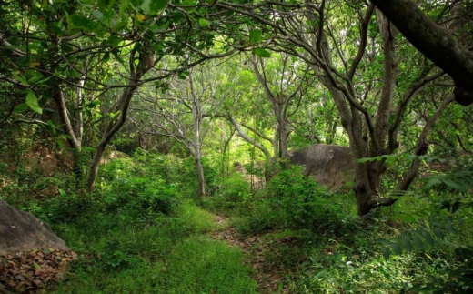 An Lam Retreats Ninh Van Bay