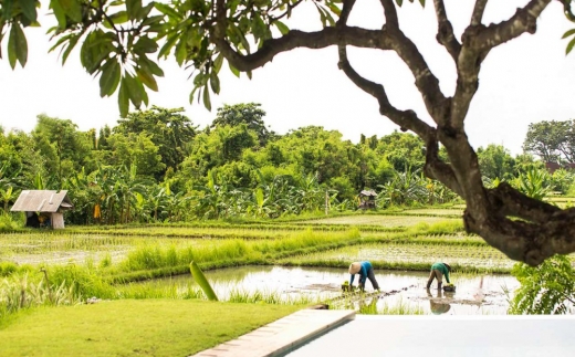 The Samata Sanur Bali